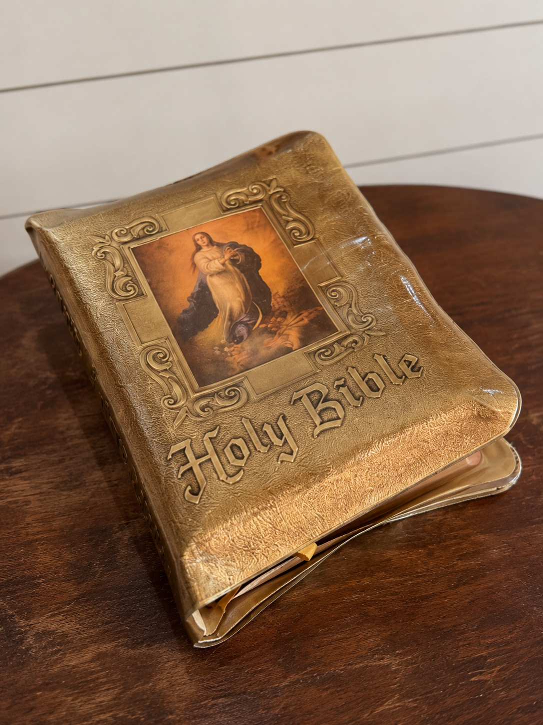 Vintage Illustrated Holy Bible with Protective Cover